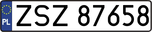 ZSZ87658