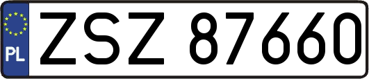 ZSZ87660