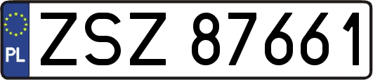 ZSZ87661