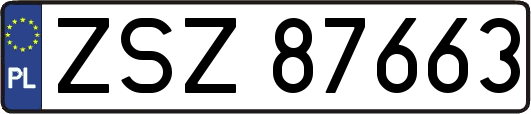 ZSZ87663