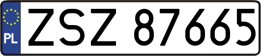ZSZ87665