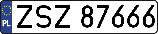 ZSZ87666
