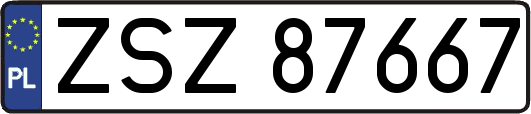 ZSZ87667