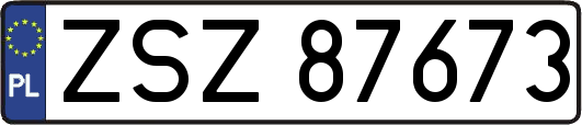 ZSZ87673