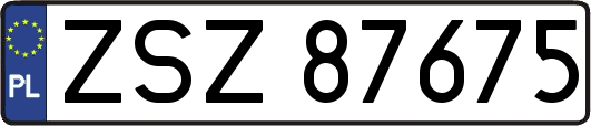 ZSZ87675