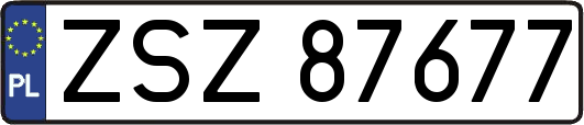 ZSZ87677