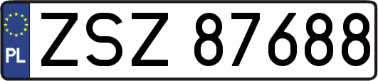 ZSZ87688