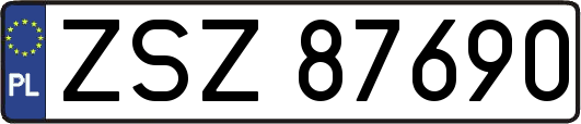 ZSZ87690