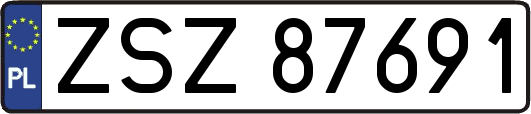 ZSZ87691