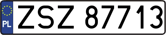 ZSZ87713