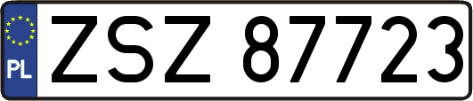 ZSZ87723