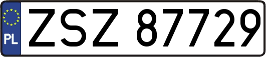 ZSZ87729
