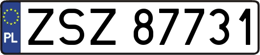 ZSZ87731