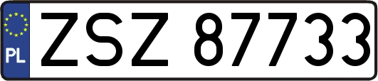 ZSZ87733