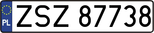 ZSZ87738