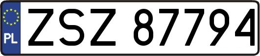 ZSZ87794