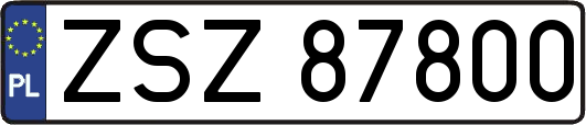 ZSZ87800