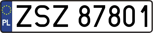 ZSZ87801