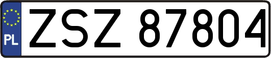 ZSZ87804