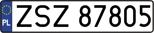 ZSZ87805