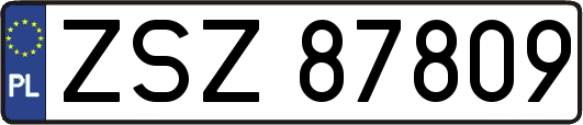 ZSZ87809
