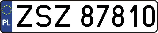ZSZ87810