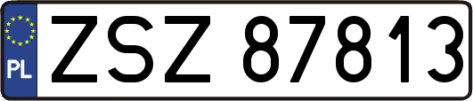 ZSZ87813