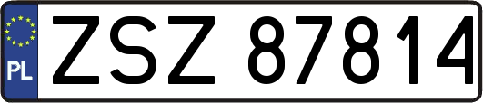 ZSZ87814