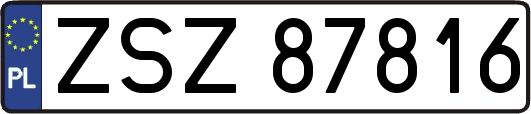 ZSZ87816