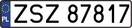 ZSZ87817