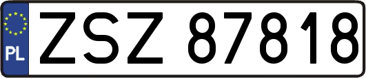 ZSZ87818