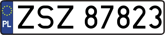 ZSZ87823