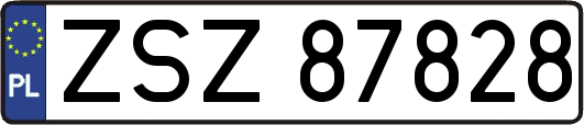 ZSZ87828