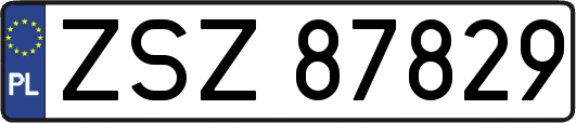 ZSZ87829