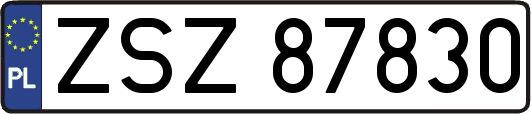 ZSZ87830