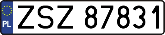 ZSZ87831