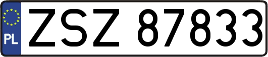 ZSZ87833