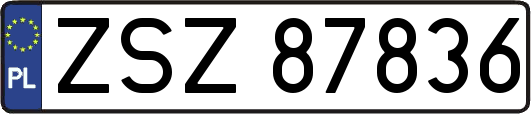 ZSZ87836