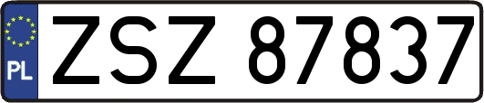 ZSZ87837