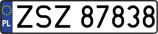ZSZ87838