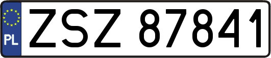ZSZ87841