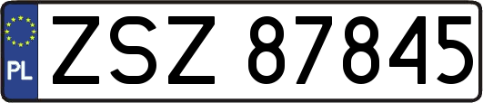 ZSZ87845