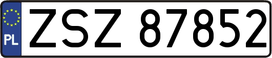 ZSZ87852