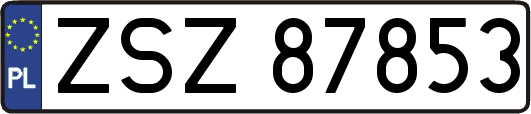 ZSZ87853