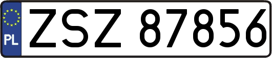 ZSZ87856