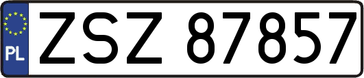 ZSZ87857