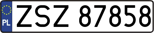ZSZ87858