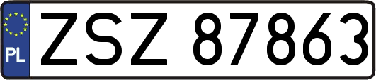 ZSZ87863