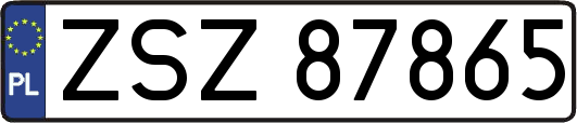 ZSZ87865
