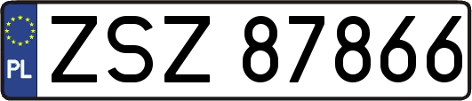 ZSZ87866